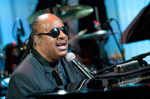 Stevie Wonder education contributions to music and culture