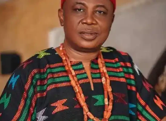 Ugochukwu Emmanuel Nwoke: 7 Powerful Triumphs & Painful Struggles