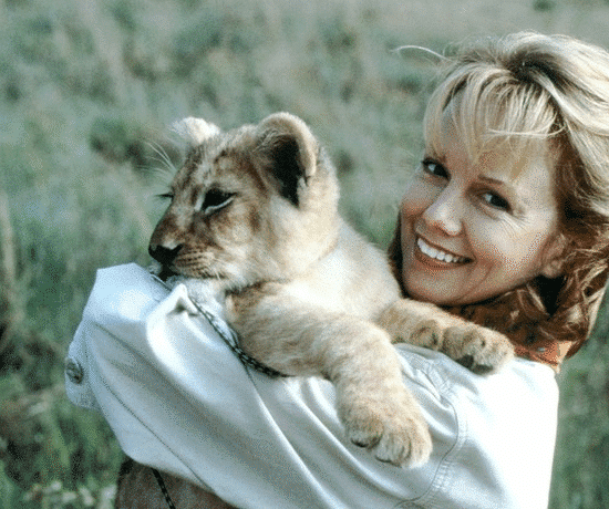 Linda Purl Movies Guide