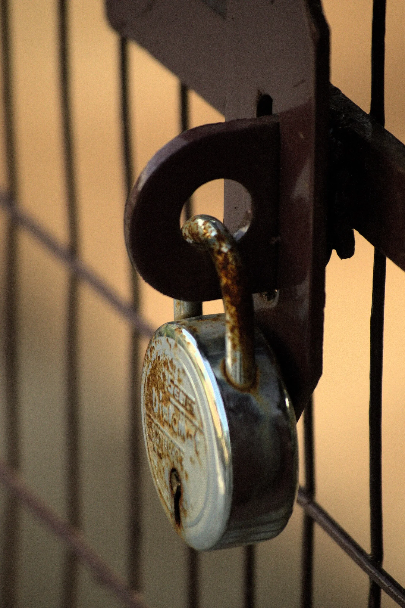 Secure Password Generator – Create Strong Passwords Instantly