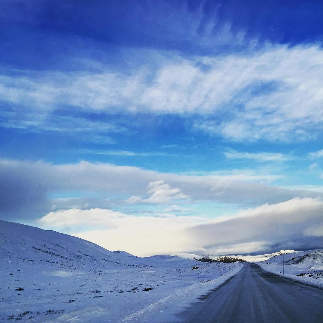 free hashtag generator results showing trending Instagram tags